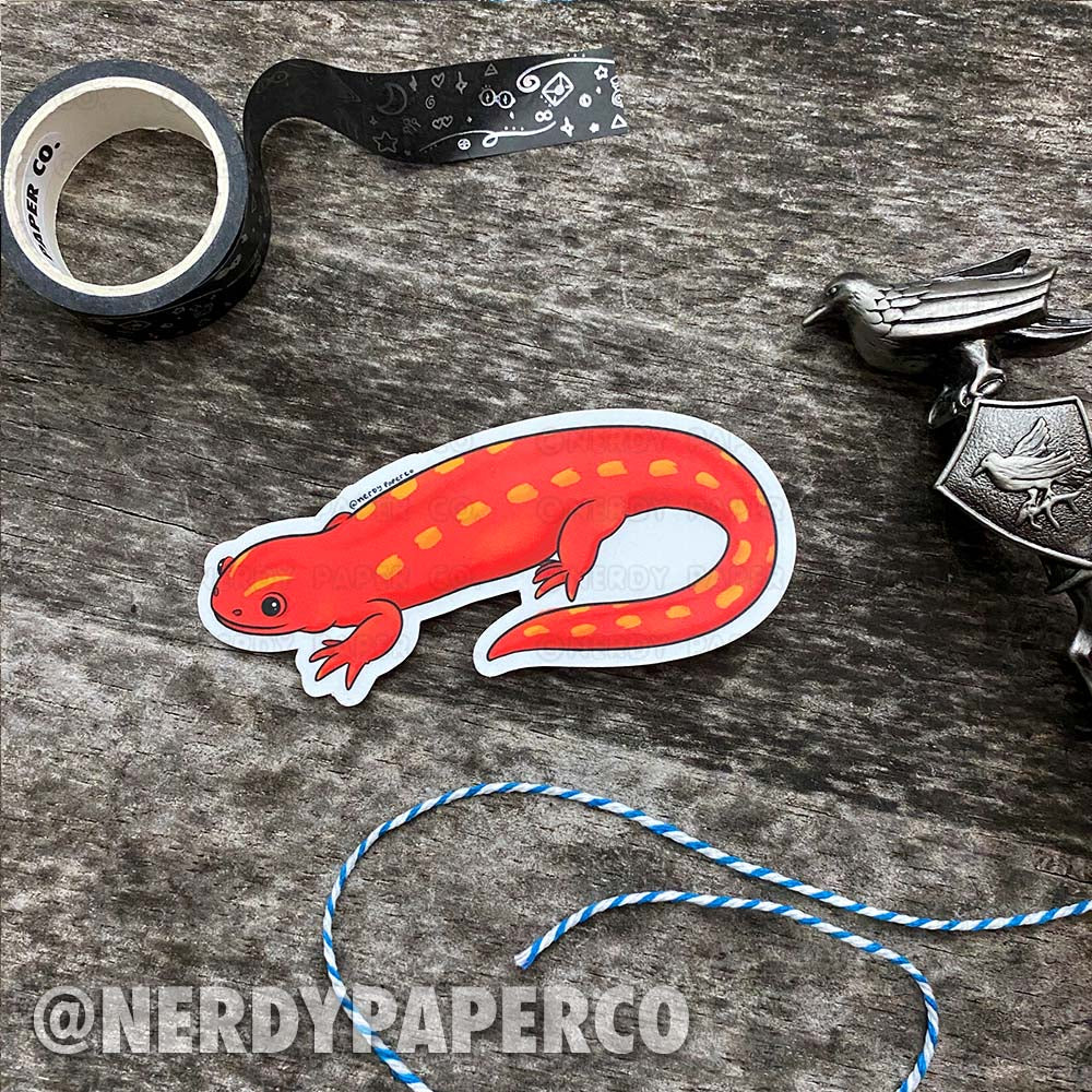 Fire Salamander | Magical Creature #25 - Hand Drawn Waterproof Vinyl Sticker