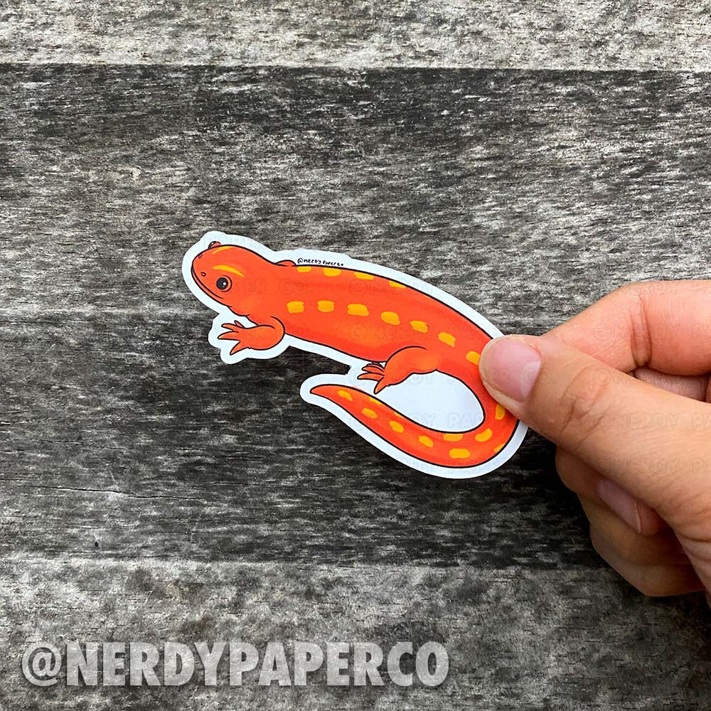 Fire Salamander | Magical Creature #25 - Hand Drawn Wizard Diecut