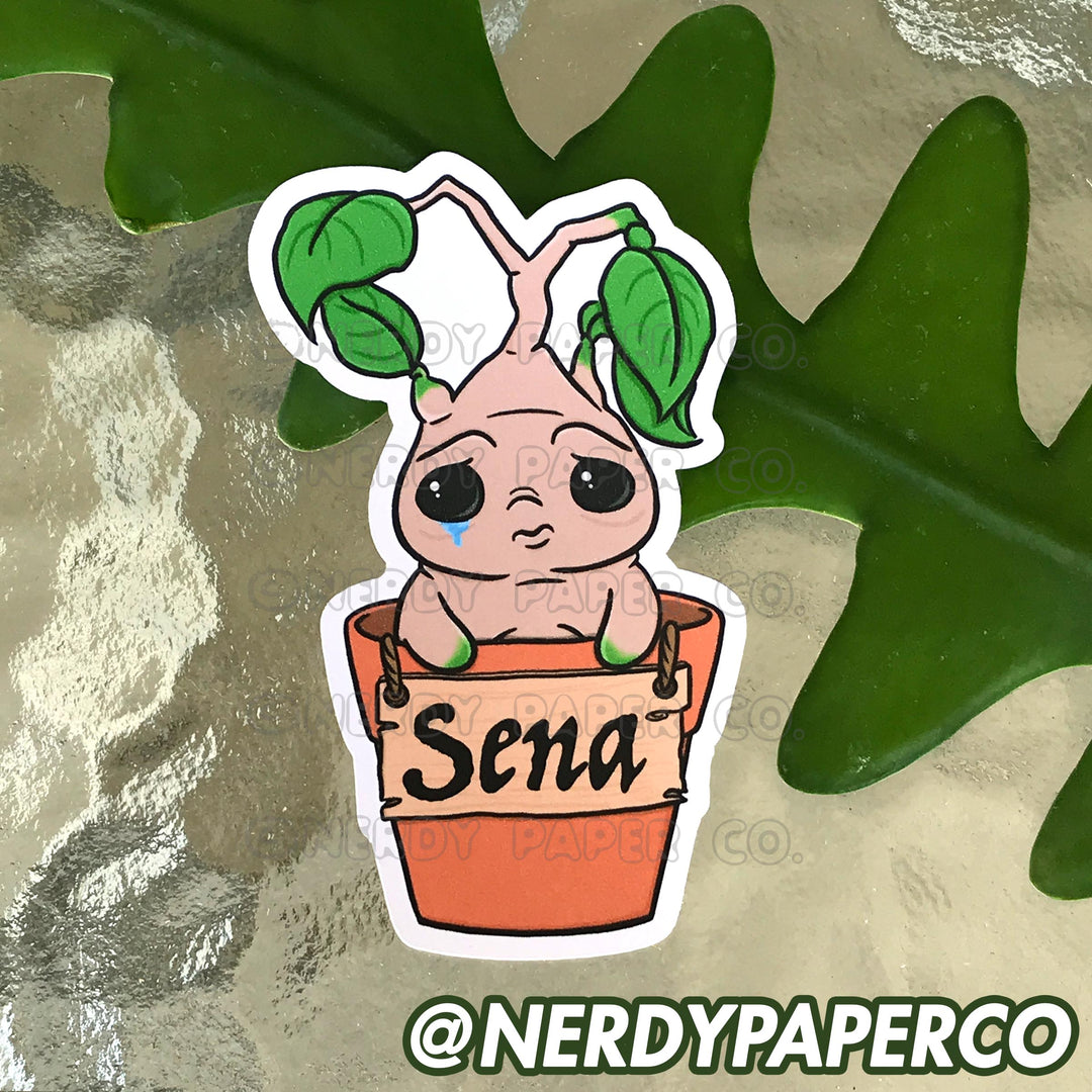 CUSTOM NAME | MANDRAKE - Hand Drawn Die Cut