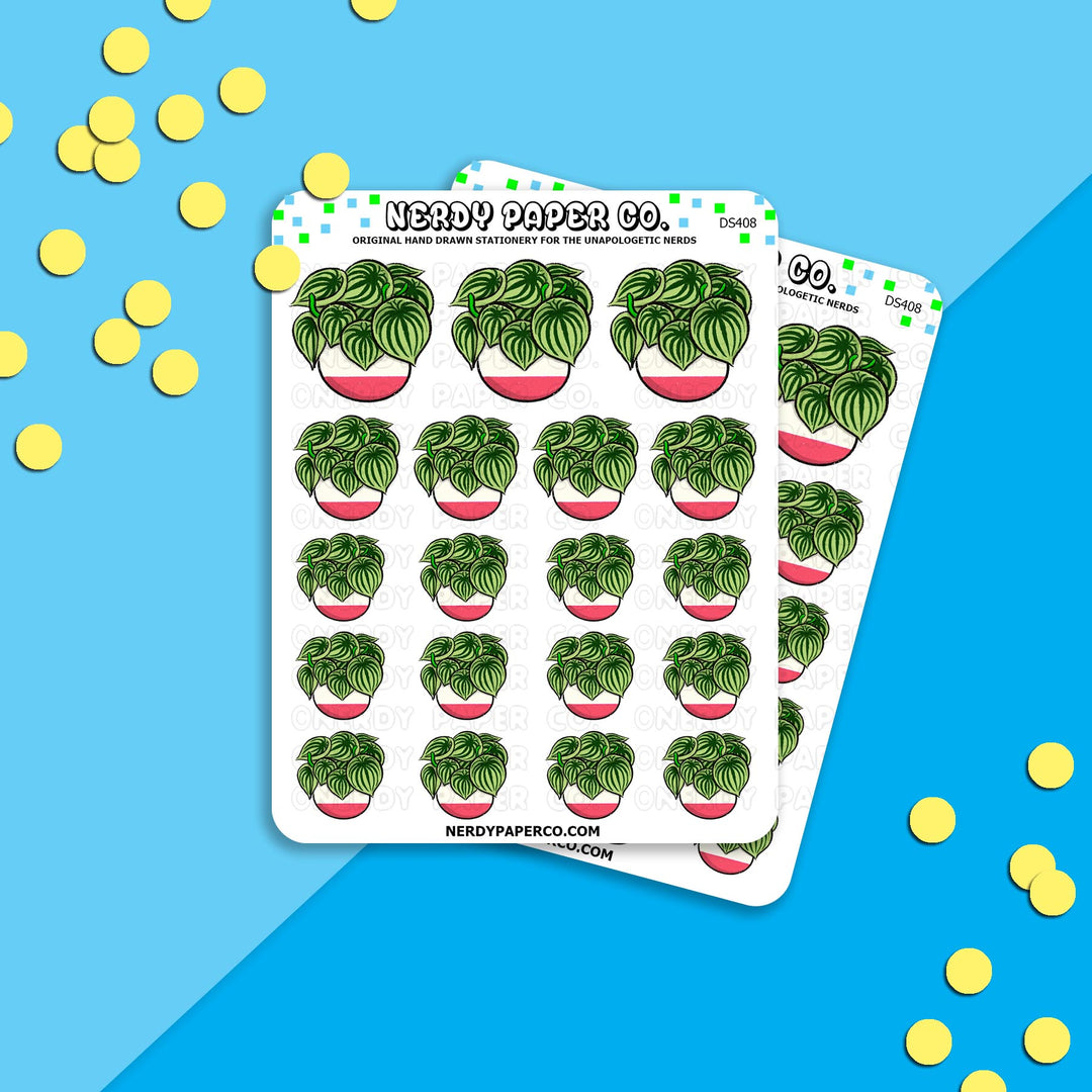 WATERMELON PEPEROMIA - Hand Drawn Inspired Planner Stickers - Deco -DS408